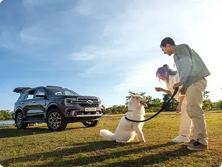 29th Anniversary Promotion