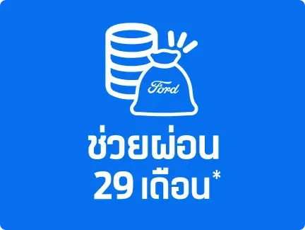 29 Insatllment Months